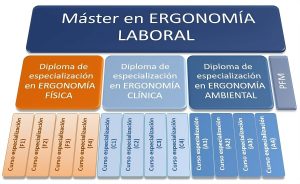 Estructura_MASTER_MIEL