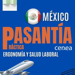 Pasantía Ergonomía Laboral - México 2026 - sin alojamiento - 3 cuotas