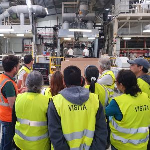 Pasantia en ergonomia laboral