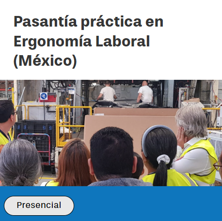 Pasantía de ergonomia laboral